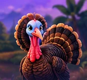 Pavo